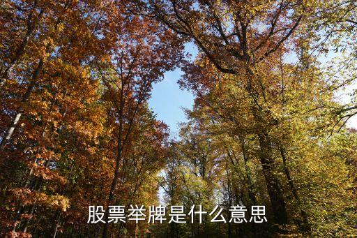 股票举牌是什么意思