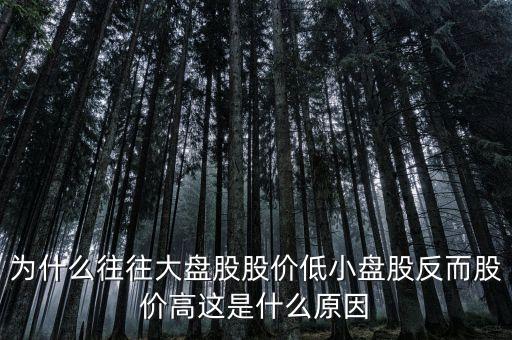 为什么小市值的股票贵，为什么往往大盘股股价低小盘股反而股价高这是什么原因