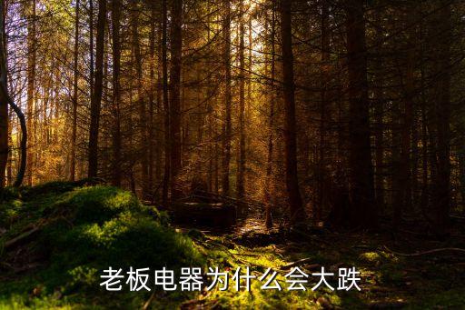 老板电器为什么会大跌