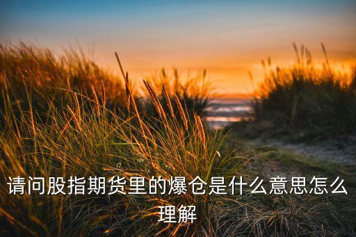 请问股指期货里的爆仓是什么意思怎么理解
