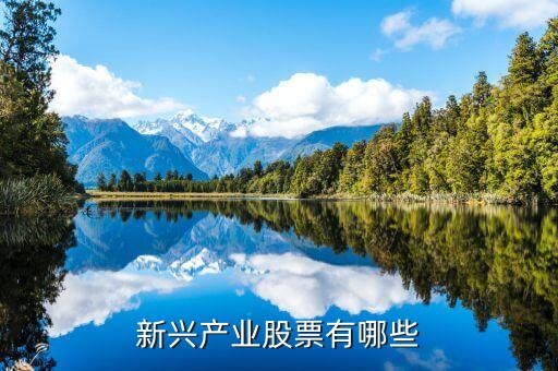 新兴产业股票有哪些