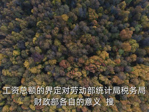 工资总额的界定对劳动部统计局税务局财政部各自的意义  搜