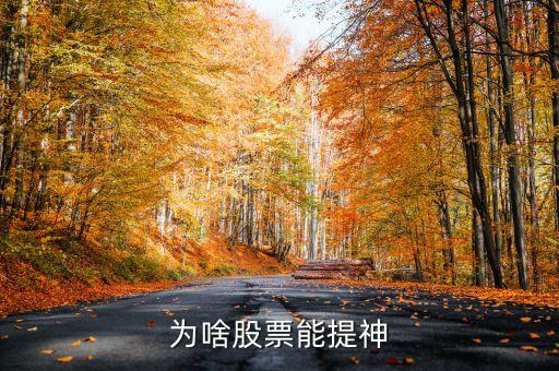 为什么股票总是让我着迷，为啥股票能提神