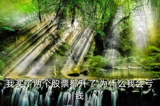 股票为什么涨了我还亏钱，我 的股票明显再涨为什么我的收益还是负数是什么原因啊