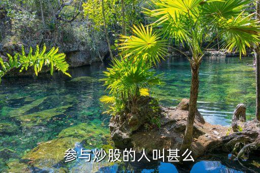 股票从下往上买的人叫什么，买股票的人叫什么