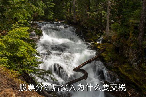 为什么卖股票要扣红利税，交易红利税是什么