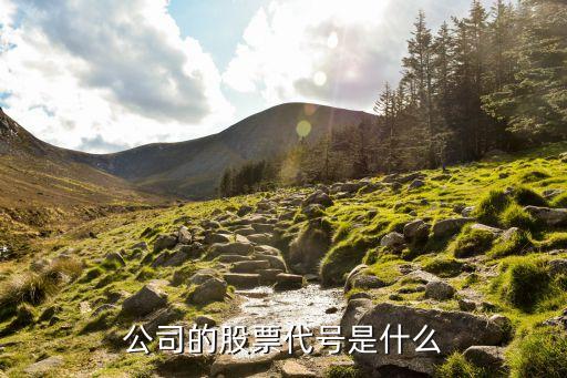 新风光的股票代码是什么，股票代码有哪些知道的请告诉我哦