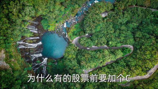 股票前写C是什么意思，为什么有的股票前要加个C