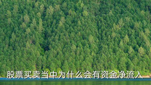 股票买卖当中为什么会有资金净流入