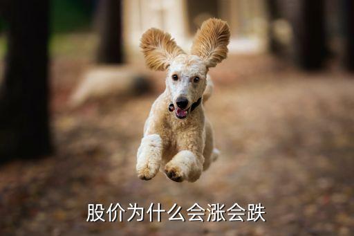 股价为什么会涨会跌
