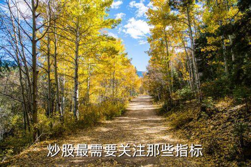炒股最需要关注那些指标