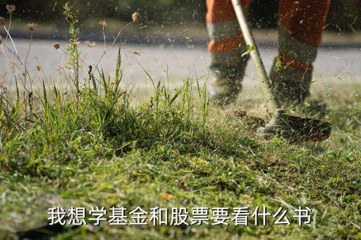 我想学基金和股票要看什么书