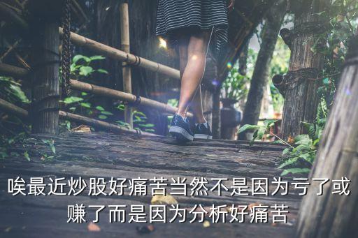 唉最近炒股好痛苦当然不是因为亏了或赚了而是因为分析好痛苦