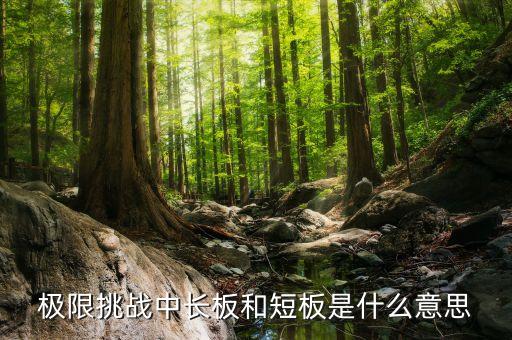 股票中长板是什么意思图解，极限挑战中长板和短板是什么意思