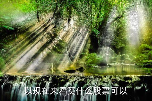 以现在来看买什么股票可以