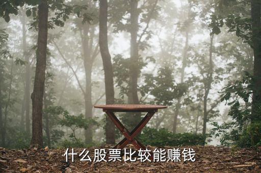 真正能发大财的股票是什么，什么股票比较能赚钱