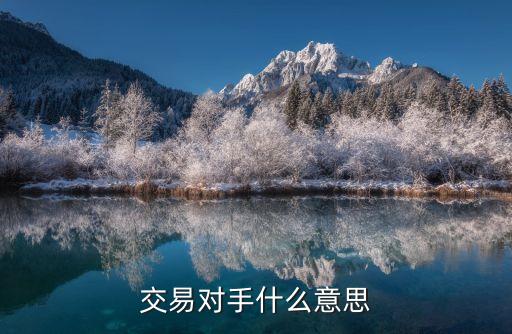 交易对手什么意思