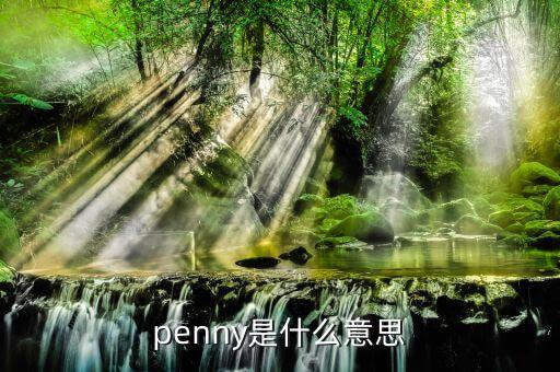 penny是什么意思