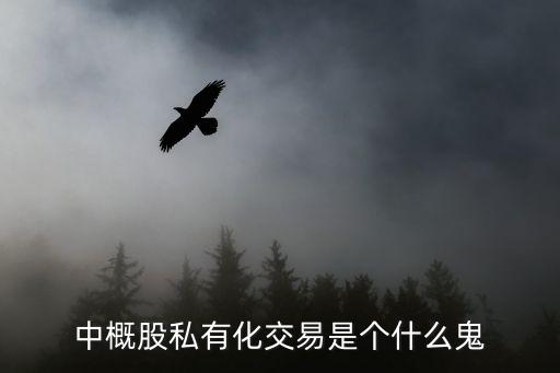 中概股私有化交易是个什么鬼