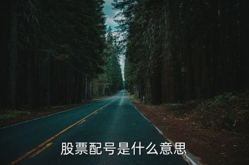 股票里的配号什么意思，股票配号是什么意思