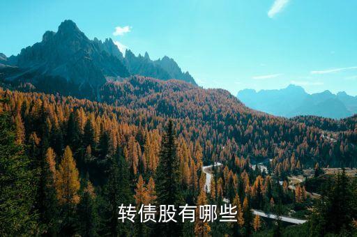 什么是发转债的股票，债转股是什么