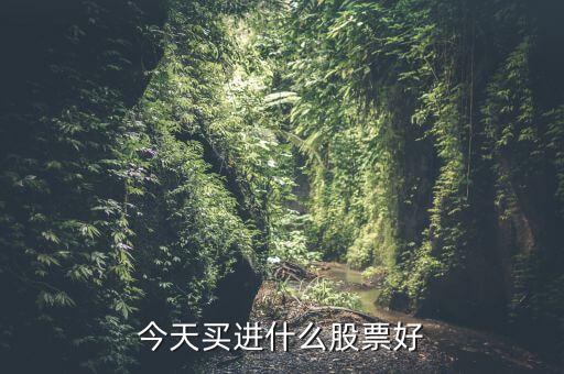 今天买进什么股票好