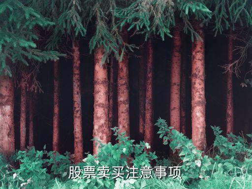 股票卖买注意事项