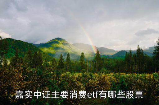 嘉实中证主要消费etf有哪些股票