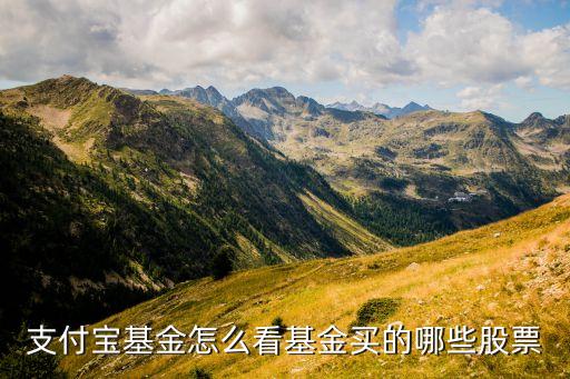 支付宝有没有什么股票，支付宝股票信息如何查询