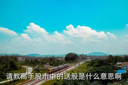 请教高手股市中的送股是什么意思啊