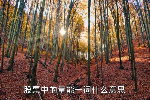 股票中的量能一词什么意思