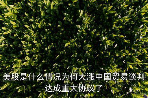 美股是什么情况为何大涨中国贸易谈判达成重大协议了