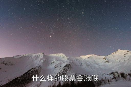 什么样的股票会涨哦