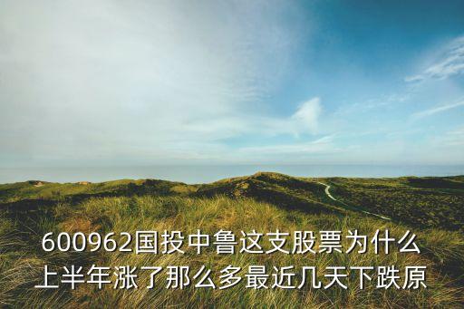600962国投中鲁这支股票为什么上半年涨了那么多最近几天下跌原