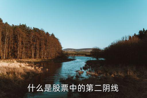 什么是股票中的第二阴线