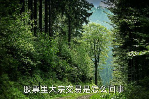 股票里大宗交易是怎么回事