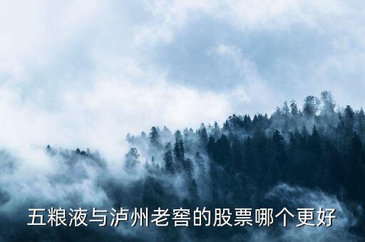 五粮液与泸州老窖的股票哪个更好
