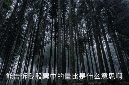 能告诉我股票中的量比是什么意思啊