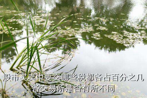 股市买卖中要交哪些税都各占百分之几各交易所是否有所不同