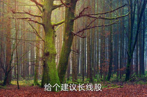 给个建议长线股