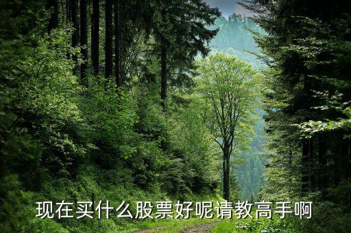 现在买什么股票好呢请教高手啊