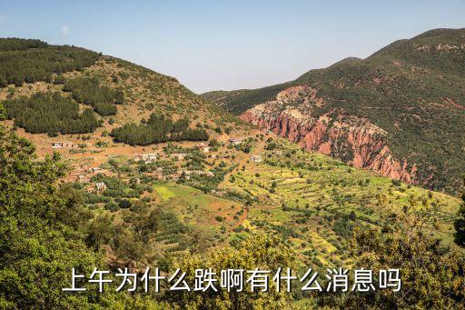 为什么上午股票会回落呢，上午为什么跌啊有什么消息吗