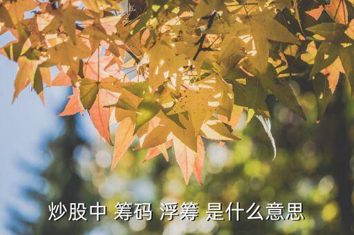 股票里的元宇宙战法是什么，炒股中 筹码 浮筹 是什么意思