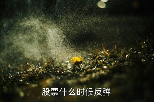 股票反弹什么时候启动交易，股市中级反弹什么时间开始