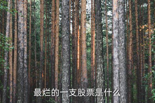 最烂的一支股票是什么