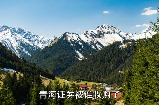 青海证券被谁收购了