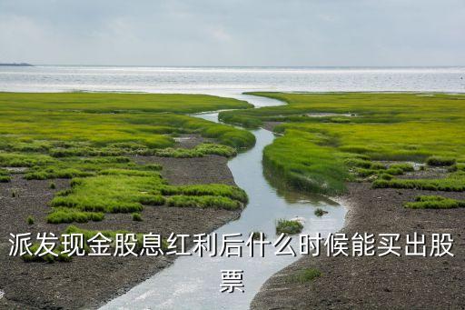 派发现金股息红利后什么时候能买出股票
