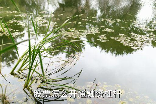 股票怎么开通融资杠杆