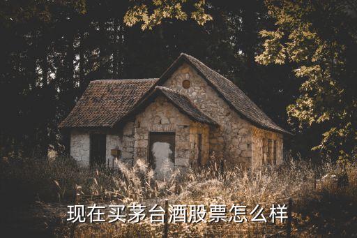 为什么建议买贵州茅台股票，洋河股份和泸州老窖和五粮液和贵州茅台哪只股票好