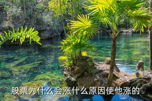 股票为什么会涨什么原因使他涨的